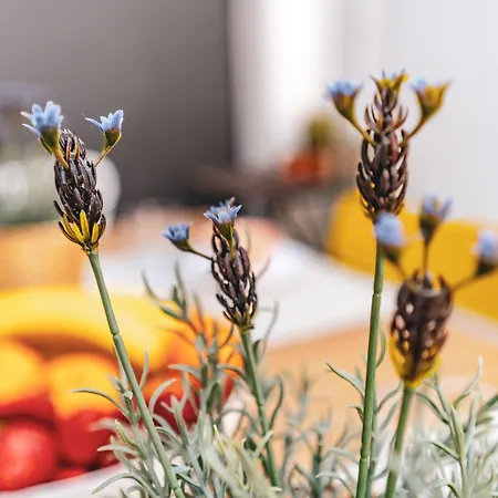 Apartamento Bo&co Sitges